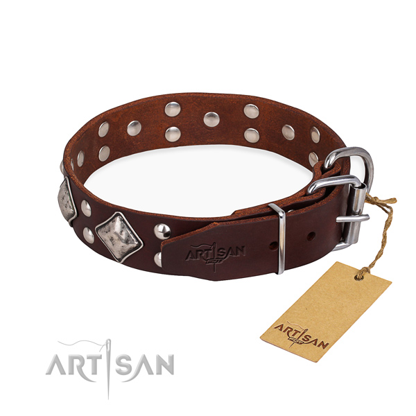 Multifunctional leather collar for your stunning dog