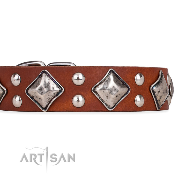 Adjustable leather dog collar with extra strong durable fittings