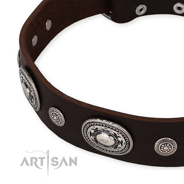 Snugly fitted leather dog collar with almost unbreakable rust-proof buckle and D-ring