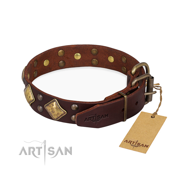 Tear-proof leather collar for your elegant dog