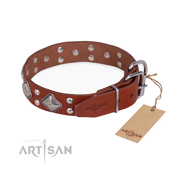 Everyday leather collar for your darling pet