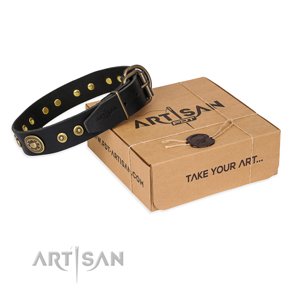Incredible full grain genuine leather dog collar for daily use