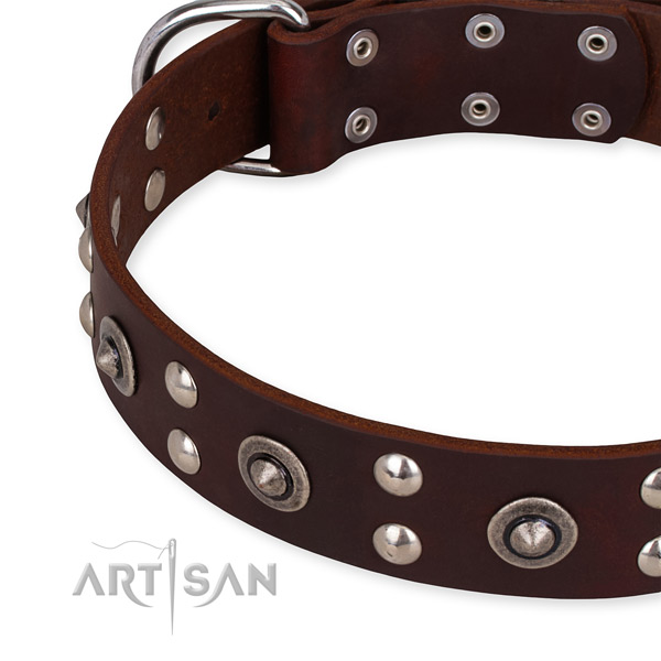 Quick to fasten leather dog collar with extra strong durable buckle