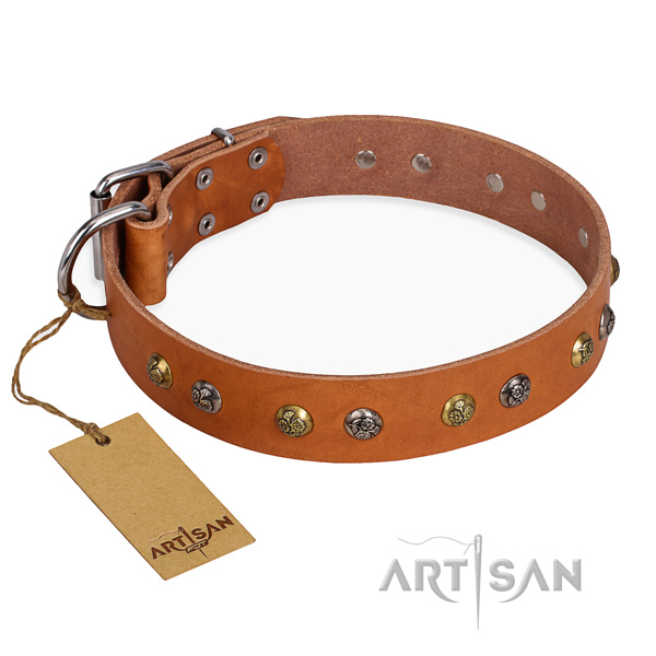 Exceptional design adornments on full grain leather dog collar