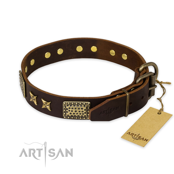 Extraordinary design embellishments on full grain natural leather dog collar