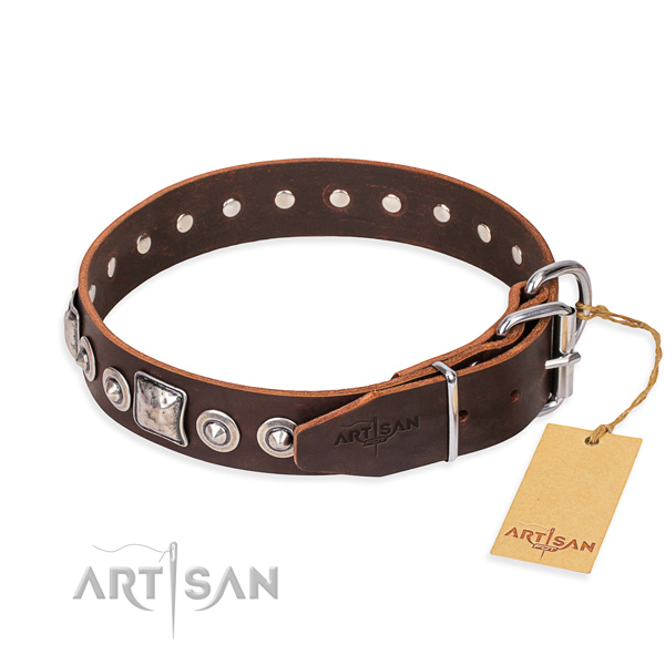Stylish leather collar for your handsome dog