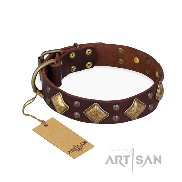 Exceptional design decorations on genuine leather dog collar