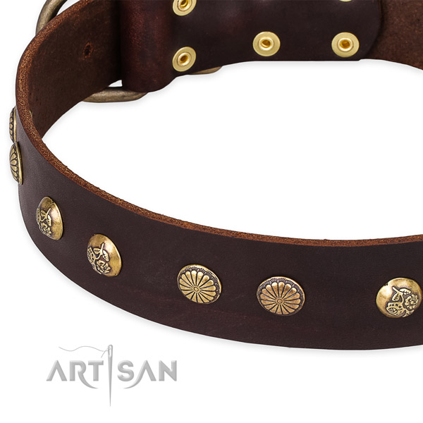 Easy to adjust leather dog collar with resistant to tear and wear durable hardware