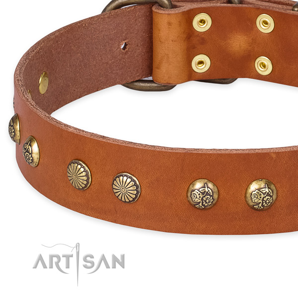 Easy to put on/off leather dog collar with resistant to tear and wear rust-proof set of hardware