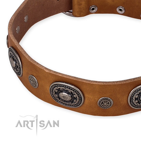 Easy to use leather dog collar with extra strong durable fittings