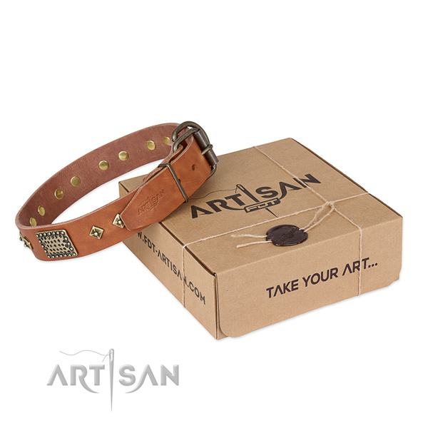 Awesome genuine leather dog collar for daily use