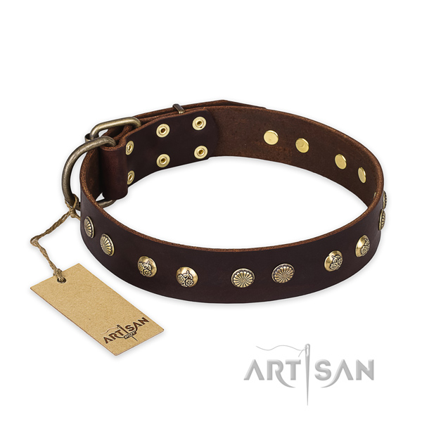 Extraordinary design decorations on full grain leather dog collar