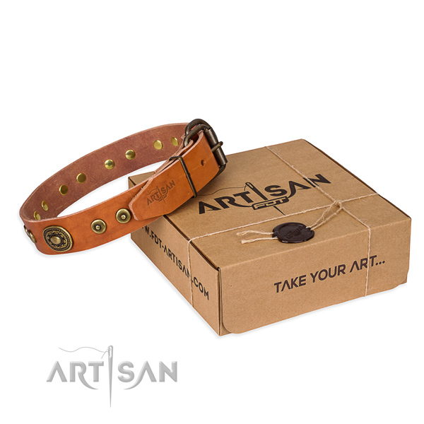 Fine quality leather dog collar for everyday walking