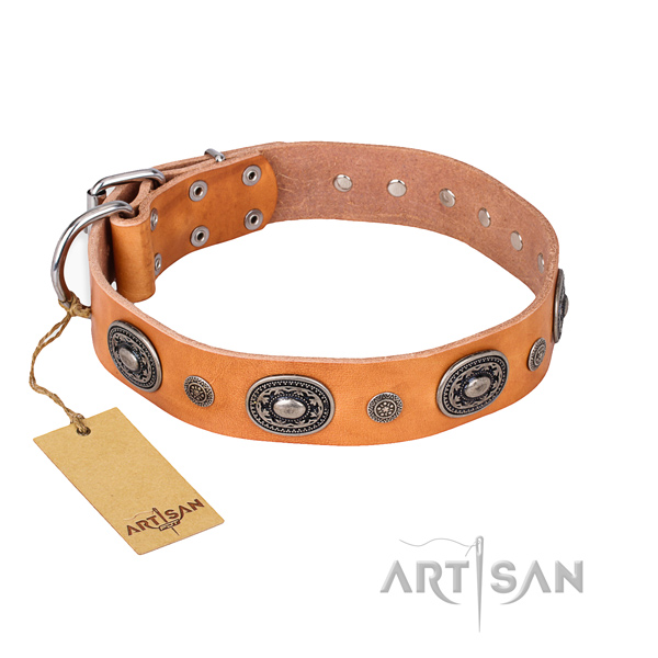 Impressive design embellishments on natural genuine leather dog collar