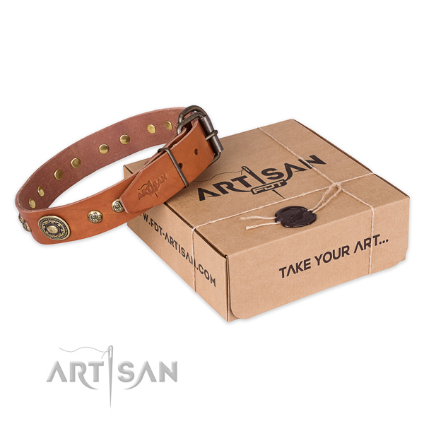 Finest quality leather dog collar for daily use