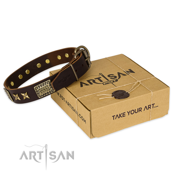 Top quality full grain natural leather dog collar for daily walking