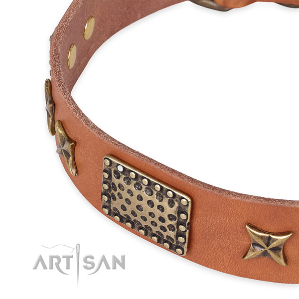 Easy to adjust leather dog collar with extra strong rust-proof buckle