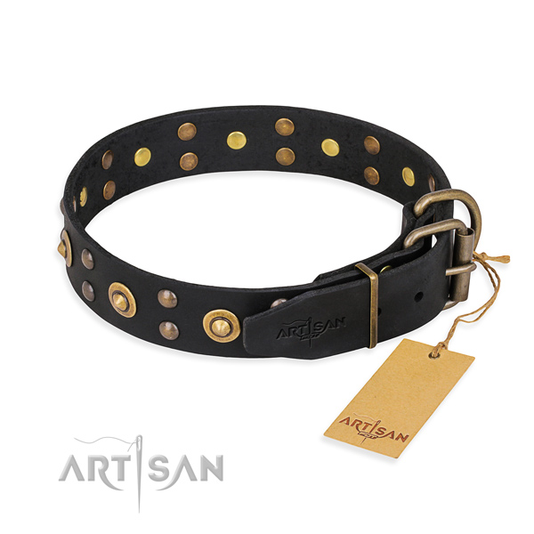 Walking full grain leather collar with decorations for your dog