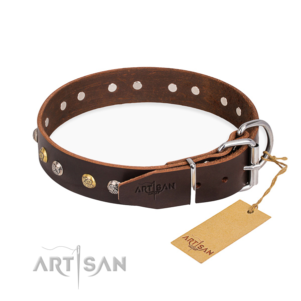 Fashionable leather collar for your noble canine