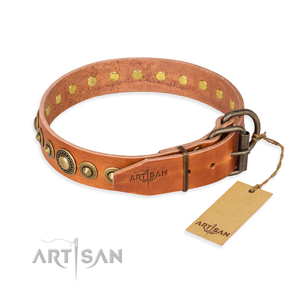 Awesome leather collar for your handsome dog