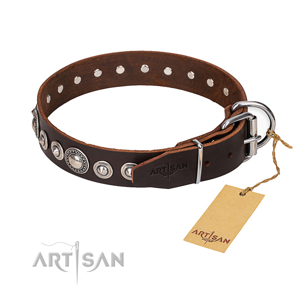 Durable leather collar for your elegant canine