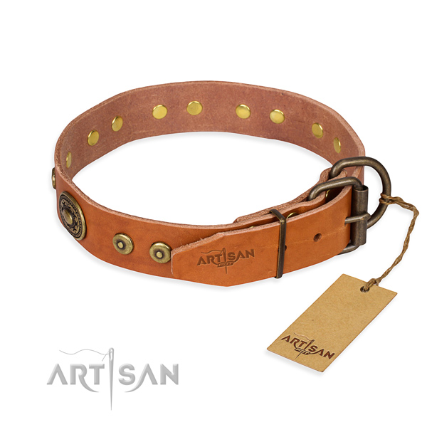 Practical leather collar for your gorgeous pet