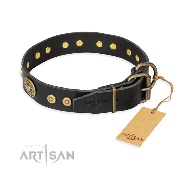 Practical leather collar for your handsome four-legged friend