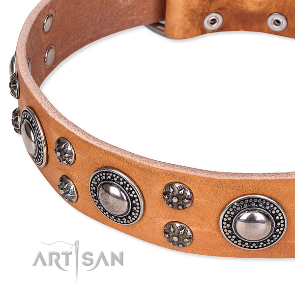 Quick to fasten leather dog collar with resistant to tear and wear durable fittings