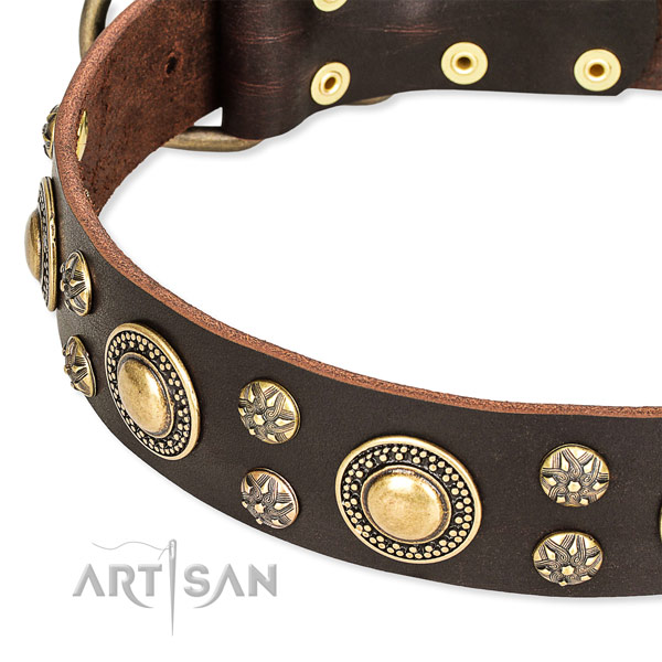 Adjustable leather dog collar with almost unbreakable durable fittings