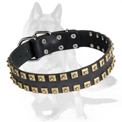 Everyday leather dog collar with nickel buckle and D-ring