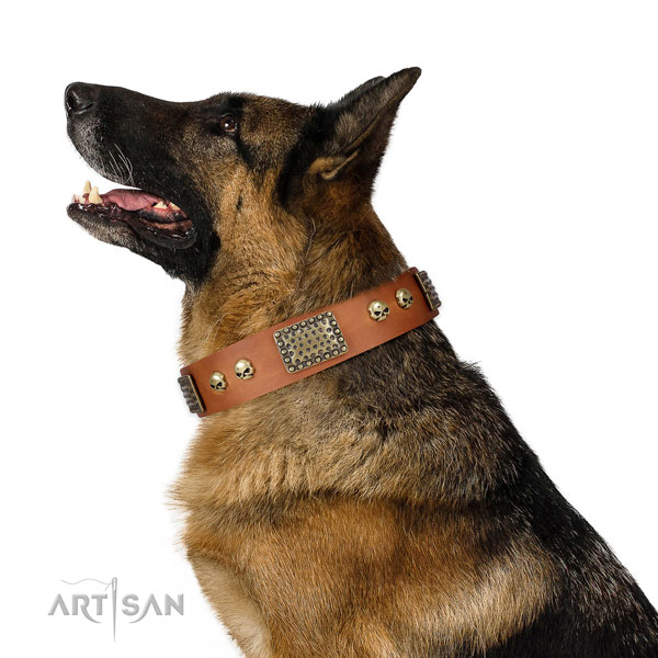 Rust resistant hardware on leather dog collar for daily use