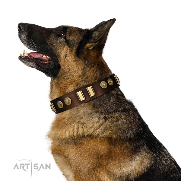 Corrosion proof buckle on leather dog collar for everyday use