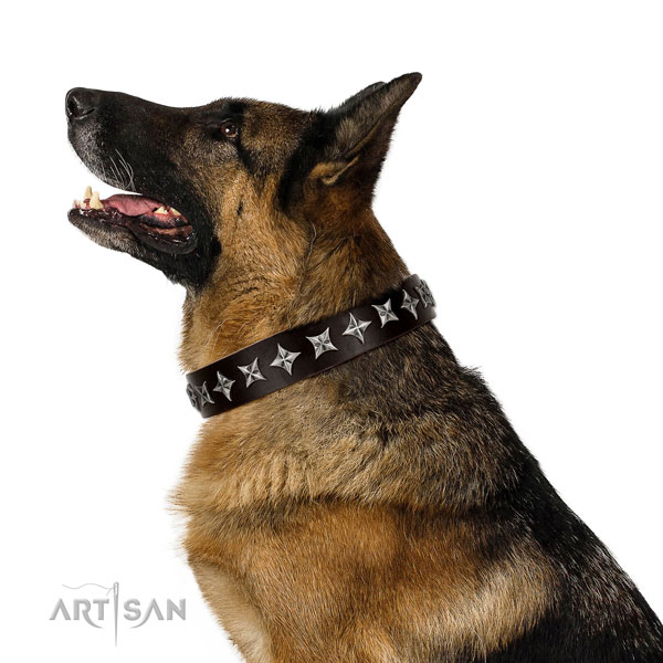 Comfy wearing adorned dog collar of durable genuine leather
