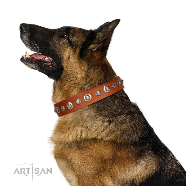 Fine quality leather dog collar with amazing studs