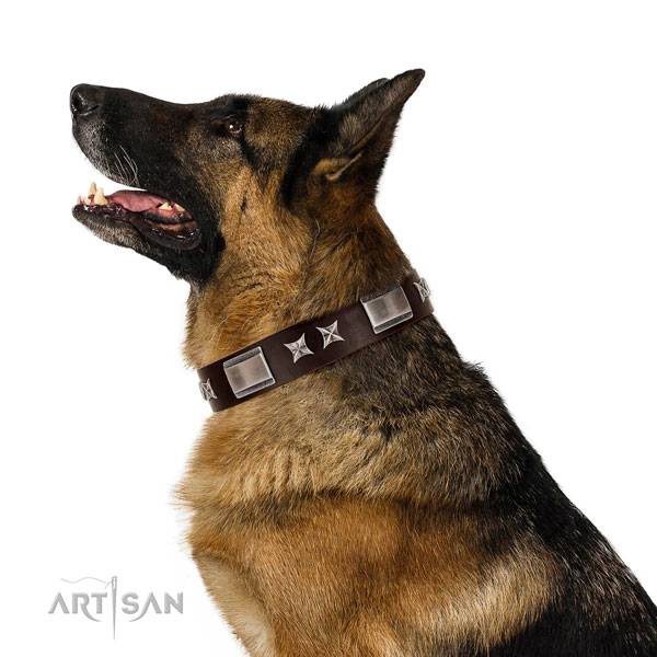 Remarkable collar of full grain genuine leather for your impressive pet