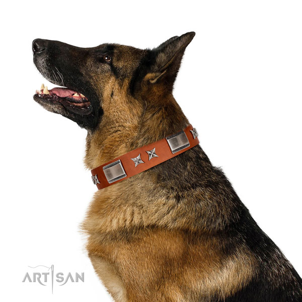 Comfortable wearing soft full grain natural leather dog collar with adornments