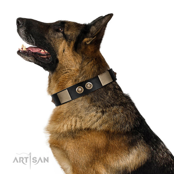 Rust-proof D-ring on genuine leather dog collar for comfy wearing