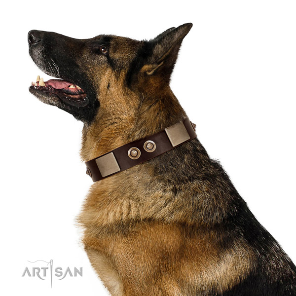 Rust-proof hardware on full grain natural leather dog collar for everyday walking