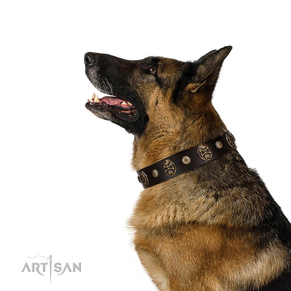 Exquisite leather collar for your impressive four-legged friend