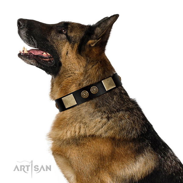 Rust-proof D-ring on genuine leather dog collar for everyday walking