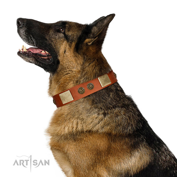 Top notch dog collar handmade for your lovely dog