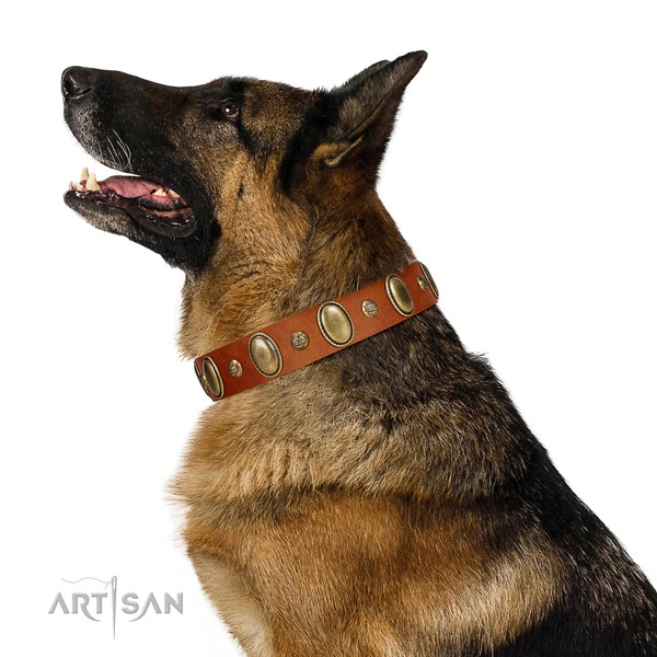 Amazing full grain genuine leather dog collar with durable fittings