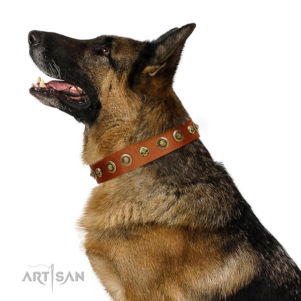 Best quality genuine leather dog collar with embellishments for your pet