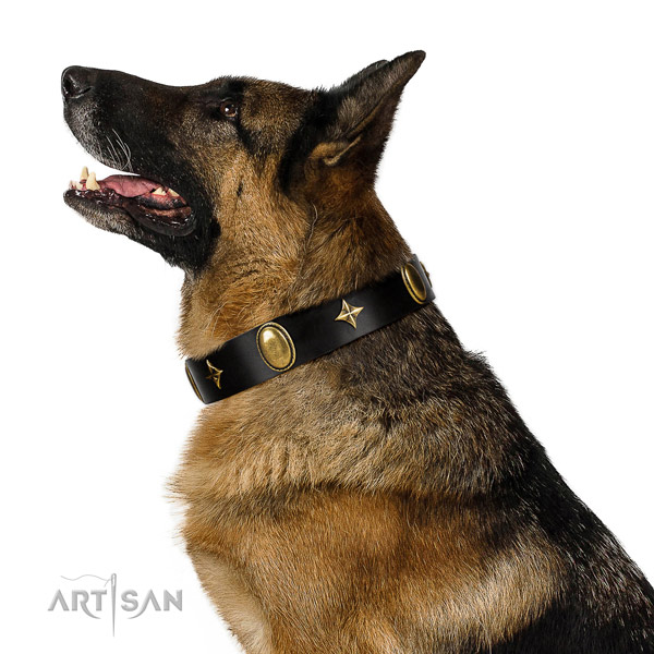 Reliable full grain natural leather collar with corrosion proof decorations for your pet