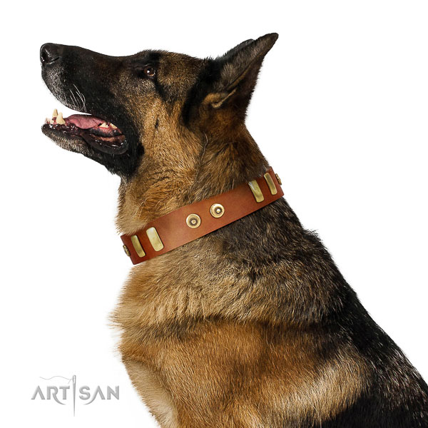 Reliable full grain natural leather collar with inimitable studs for your dog