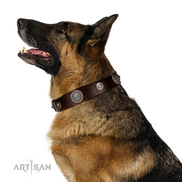 Soft full grain genuine leather dog collar with awesome embellishments
