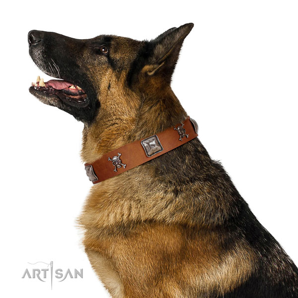 Strong full grain leather dog collar for your stylish doggie