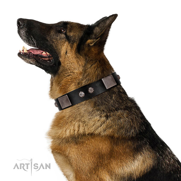 Gentle to touch full grain natural leather dog collar with corrosion proof traditional buckle