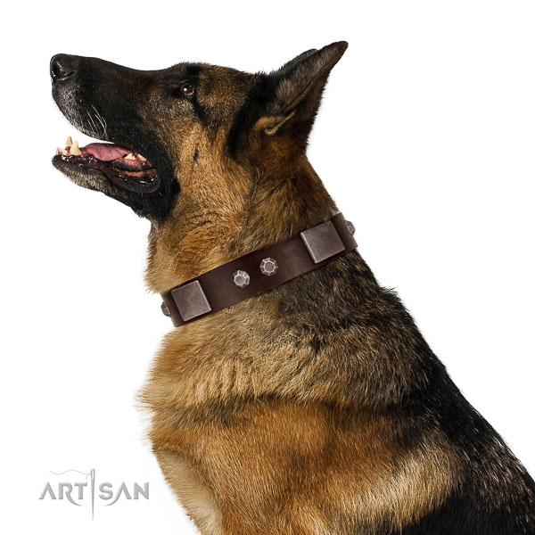 Best quality full grain leather dog collar with rust resistant fittings