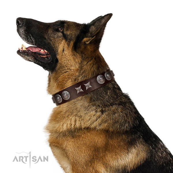 Everyday walking high quality genuine leather dog collar with studs